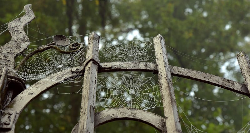 Temporal Portals